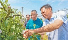 赵亚夫累计推广农业Bitp